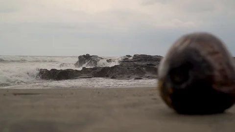 View of the ocean and waves breaking on stones and rocks on sand lies a coconut 库存影片 126969521