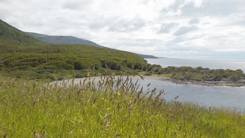 View on ocean bay through green grass meadow, Patagonia, Chile Stock Footage 137956984