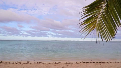 View on the ocean beach through big palm leaves. Stock Footage 201523883