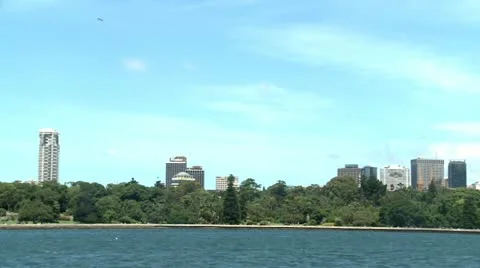View from the ocean to city behind the forest Stock Footage 11164203