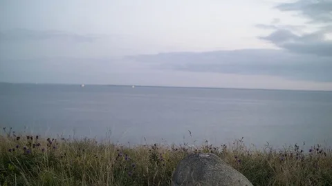 View of the ocean from a cliff Stock Footage 81599284