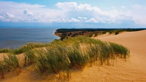 View to the ocean from the dune Stockfoto's