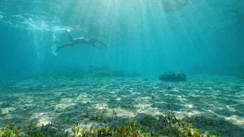 View of ocean floor crystal clear water with sunrays and a woman snorkeling. Stock Footage 118470358