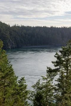 View of ocean inlet through cliffside trees Foto stock