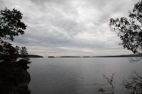 View of the ocean in low light with soft clouds and trees surrounding the frame Stock Photos