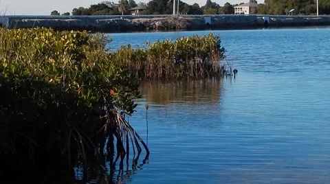 View of ocean next to shoreline Stock-Footage 45289081
