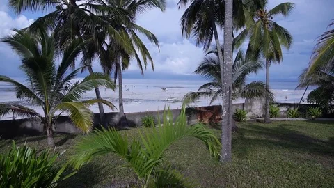 View Of The Ocean. Tanzania Vídeos de archivo 81921993