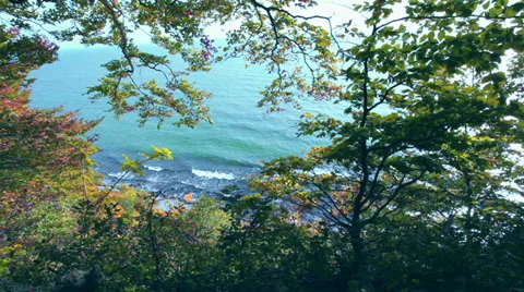 View At The Ocean Through Tree Branches - Waves Braking Upon The Shore Video stock 37208364