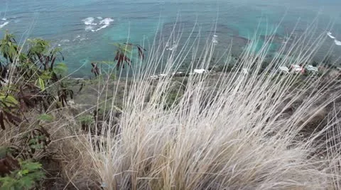 View of ocean from top of Diamond Head in Oahu, Hawaii Stock Footage 14679878