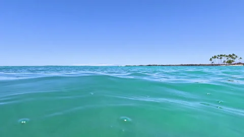View of the Ocean with Waves Flowing with View of Palm Trees in the Distance Stock Footage 270402388