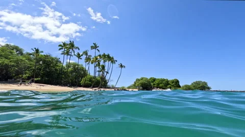 View of the Ocean with Waves Flowing with View of Palm Trees and Beach in the Stock Footage 270402394