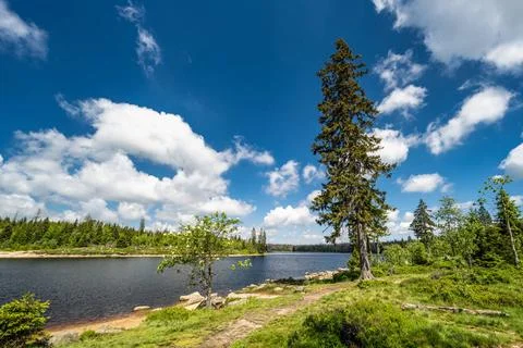 A view of the Oderteich pond in the Harz Mountains in Germany A view of th... Stock Photos