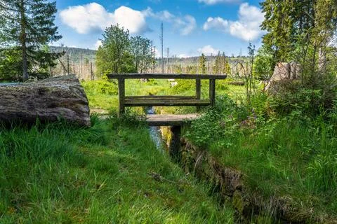 A view of the Oderteich pond in the Harz Mountains in Germany A view of th... Stock Photos