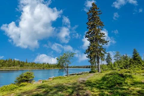 A view of the Oderteich pond in the Harz Mountains in Germany A view of th... Stock Photos