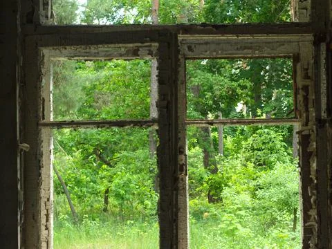 View from an old broken window. picturesque view of the forest. Stock Photos