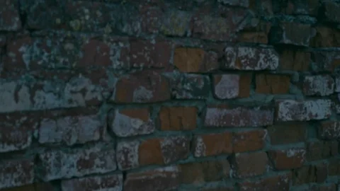 View on old building Stock Footage 89902602