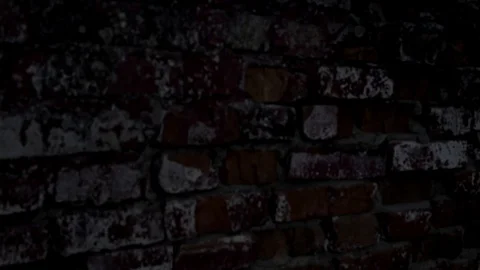 View on old building Stock Footage 95881580