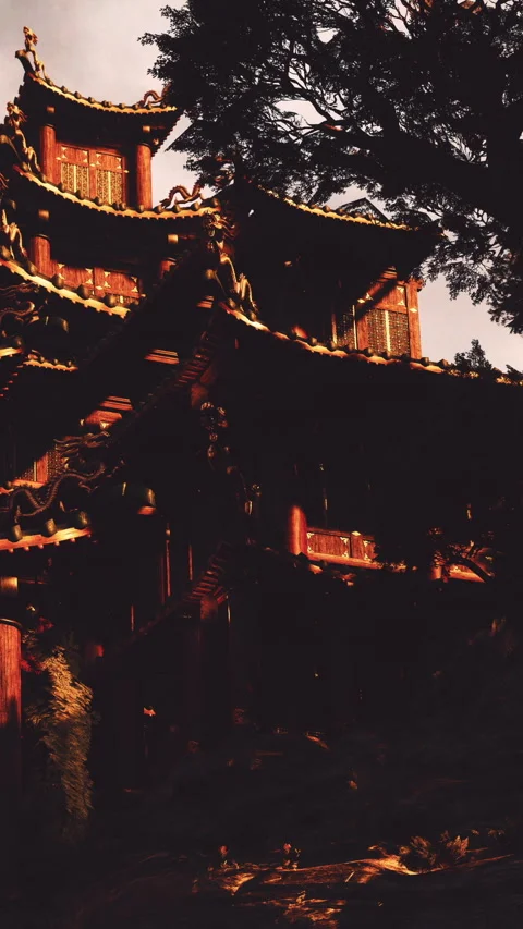 View of an old building in a forest during sunset with shadows Stock Footage 341039995