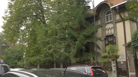 View of an old building with tall trees in Bucharest Vídeos de archivo 58088241