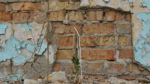 View of the old destroyed brick wall with crumbling plaster Stock-Footage 83476678