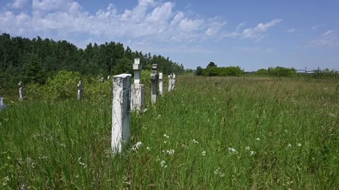 View of an Old Dilapidated Cemetery with Tall Summer Grass and Wildflowers Stock Footage 331683871