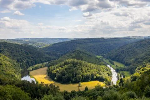 View on a old forest during summer time. Stock Photos