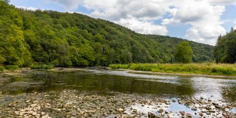 View on a old forest during summer time. Foto stock