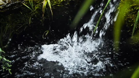 View of the old forest spring with clear water Stock Footage 154270008