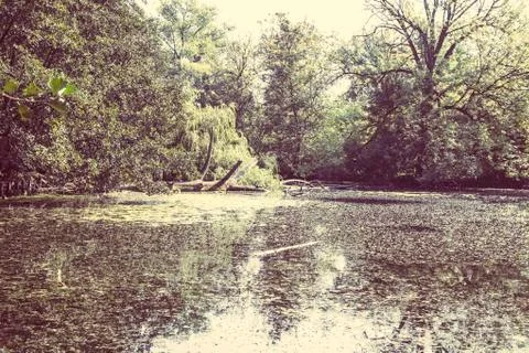 View of the old lake Stock Photos