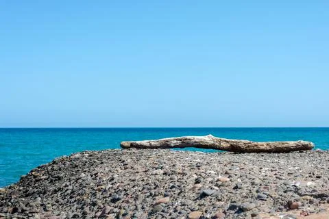 View of an old log lying on a stone on the sea coast Stock Photos