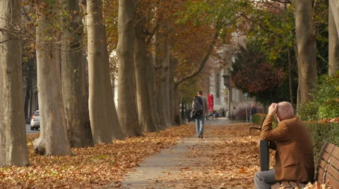 View of an old man sitting on a bench and walking away in a park, Zagreb Stock Footage 60801476