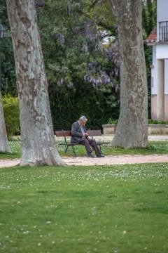 View of old man sitting on a bench, behind the garden trees, resting and look Stock Photos