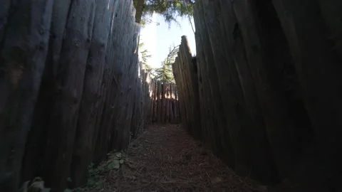 View of old military war position. Video stock 147261764