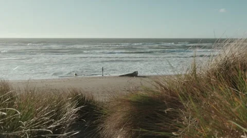 View of old rusty boat on beach through grass on sand dunes Stock Footage 301488376