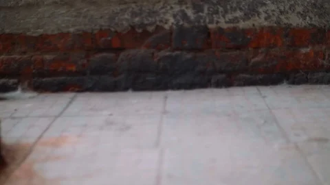 View of old screw press machine in outdated metal workshop Stock Footage 95905186