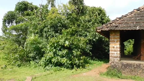 View of an old temple near the forest Stock Footage 138337539