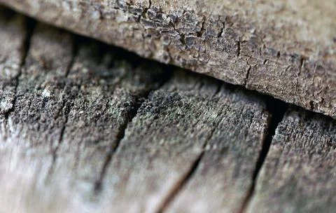 View of old wood texture background Stock Photos