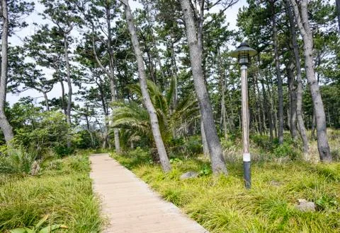 VIew of Olle course No. 7 Stock Photos