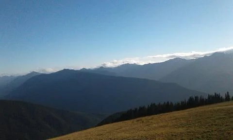 A view of the Olympic Mountains 库存照片