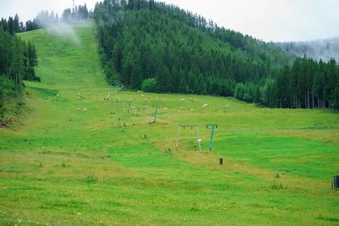 View of one of the small peaks of the Alpine mountains, covered with clouds Stock Photos
