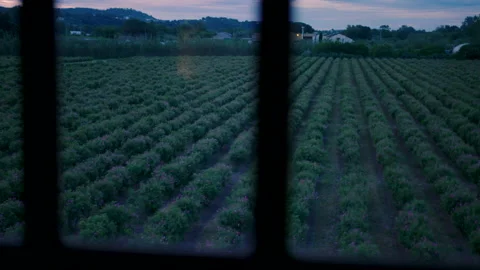 View Of An Open Agricultural Field Though A Window Stock Footage 222048056