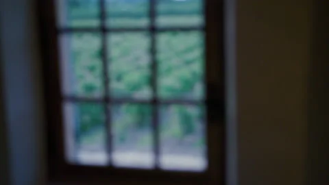 View Of An Open Agricultural Field Though A Window 3 Stock Footage 222048356