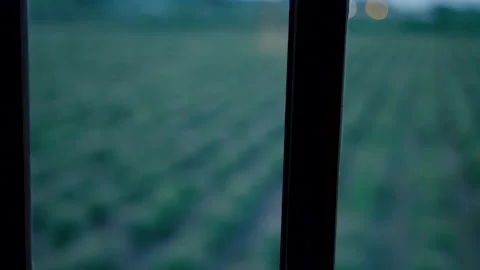 View Of An Open Agricultural Field Though A Window 2 Stock Footage 222049291