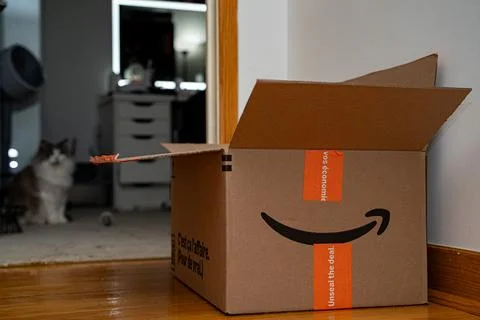 View of open Amazon cardboard box inside home interior. Toronto, Canada - Stock Photos