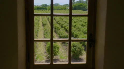 View Of An Open Field Through A Window Stock Footage 222050714