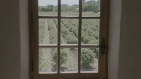 View Of An Open Field Through A Window - No LUT Version Stock Footage 222375077