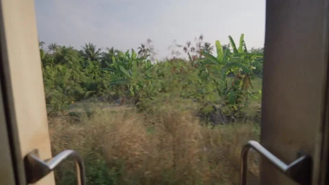 View From Open Train Doorway Passing Tropical Countryside in Thailand 動画素材 339136864