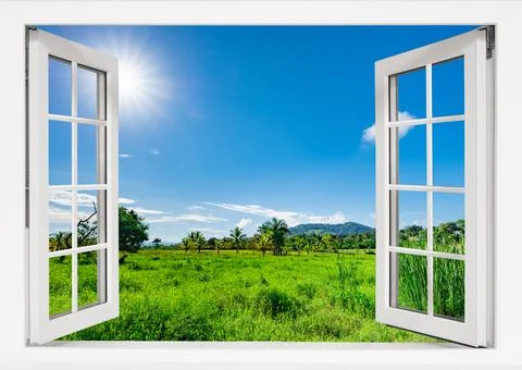 View from an open window to the jungle Фото
