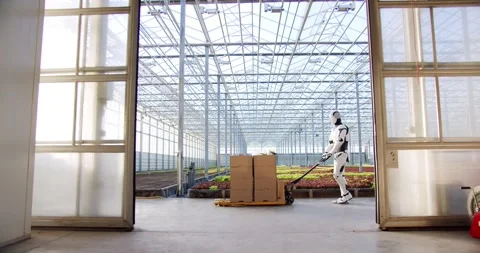 View of opening sliding door towards large commercial greenhouse with aquaponics Stock Footage 248893619