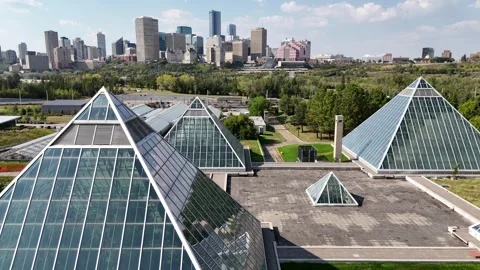 A view opens from the botanical garden Stock Footage 315813442